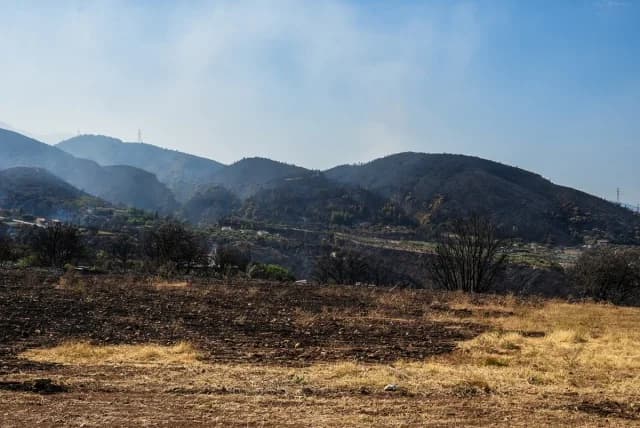 Εστίες πυρκαγιάς σε Χίο και Πάτρα: Ενισχυμένες δυνάμεις για αναζωπυρώσεις