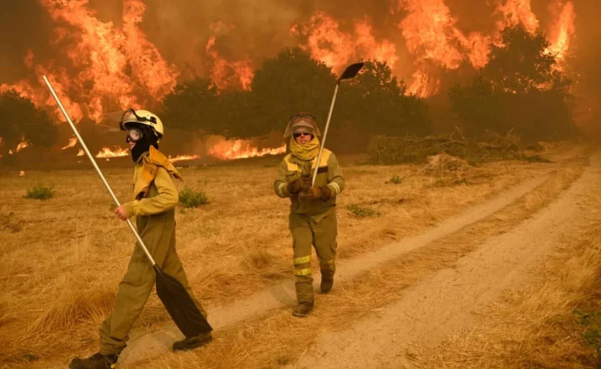 Spain: Wildfires Claim 7 Lives, Burn 1.5 Million Acres