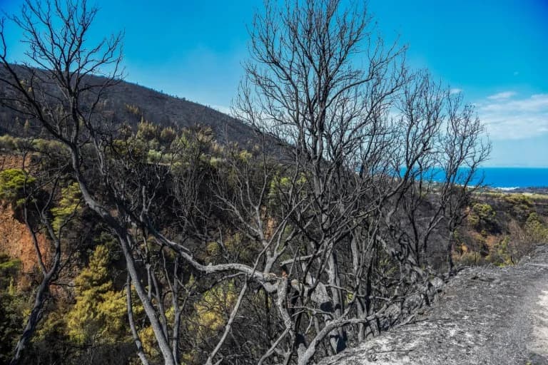 Rétino: Detenido un hombre de 53 años por incitar a cometer delitos relacionados con los incendios