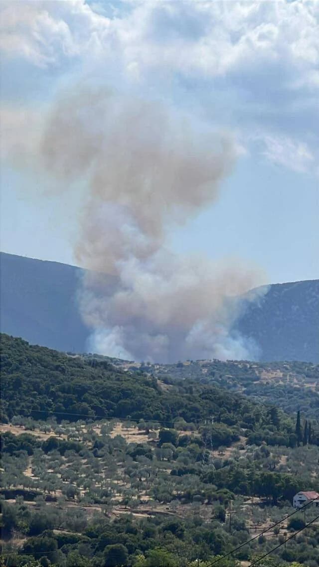 Incendio en Pelei, Argólida: Operación de extinción de incendios con 7 aviones