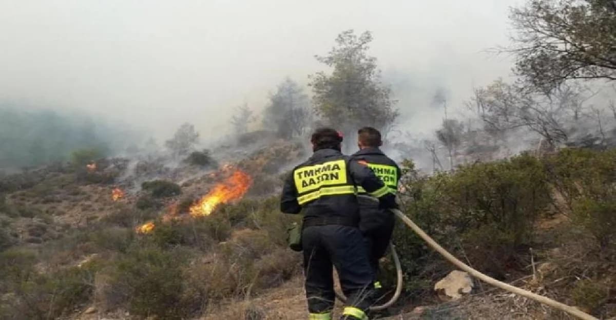 שריפות יער בשליטה בליסוס ובדרוסיה, פאפוס