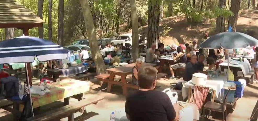 Crowds in the mountains: Picnic areas are full
