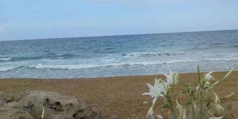 Πάφος: 30χρονος ανασύρθηκε νεκρός από παραλία στην Λέμπα