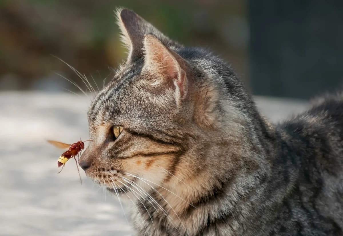 Protección de Mascotas: Cómo Protegerlas de los Insectos