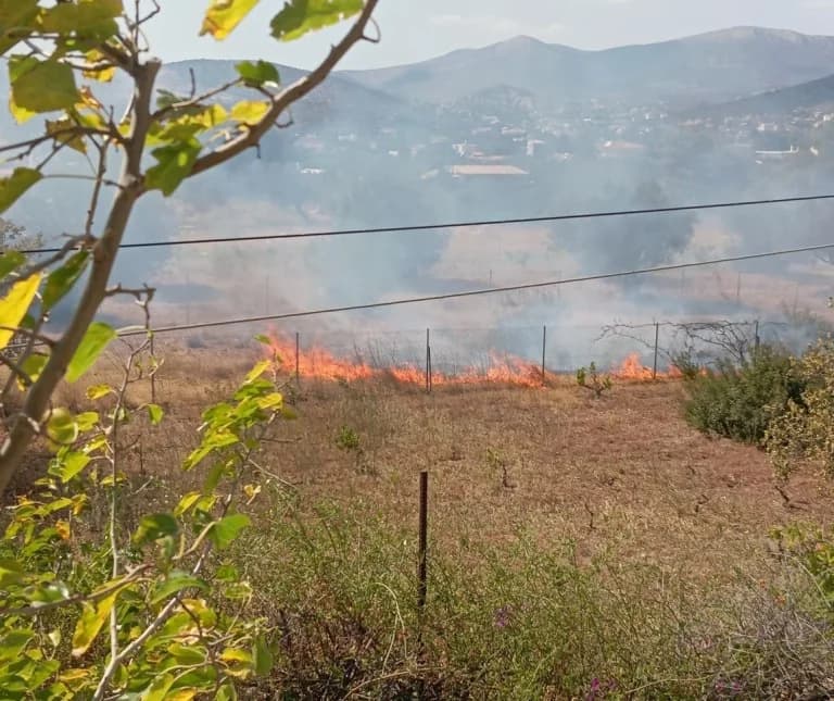 Fire in Agia Marina, Koropi – Immediate Fire Department Response