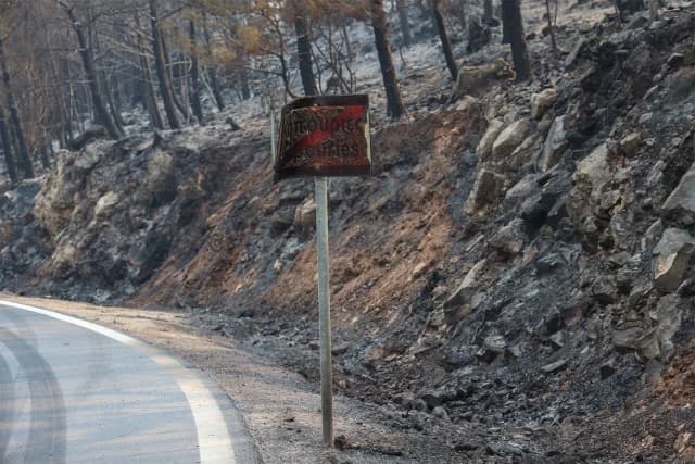 Chios: Über 69.000 Hektar verbrannt, laut Athener Observatorium
