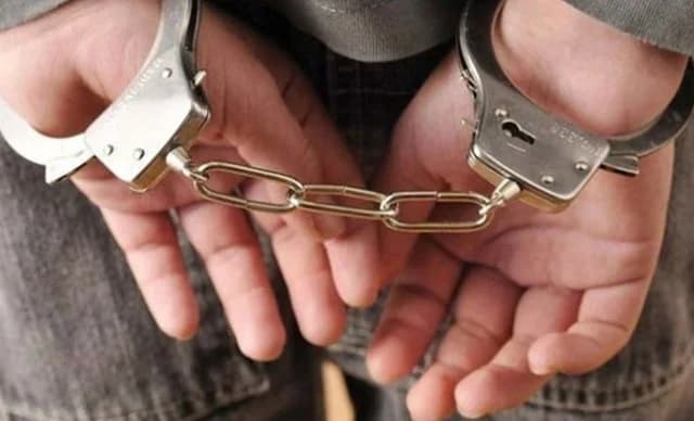 著名电视主持人兄弟因酒驾和袭击警察被捕