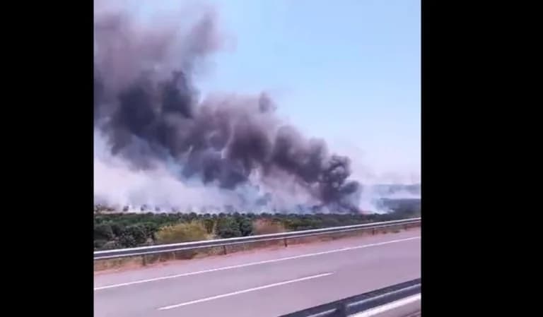 Agrinio: Feuer auf der Ionia Odos in der Nähe von Gouriotissa