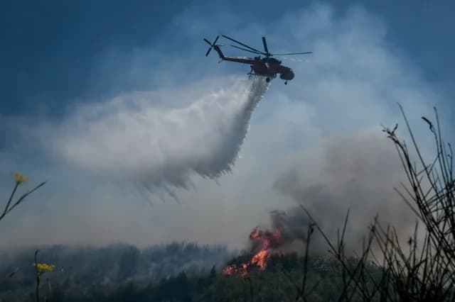 Arrest for Fire in Polygyros Municipality, Halkidiki