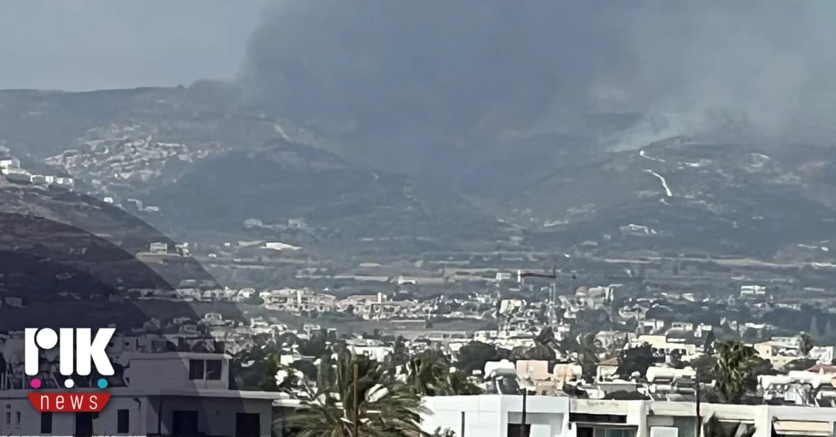 שריפה בין צאדה לקוילי: 2 קמ"ר נהרסו