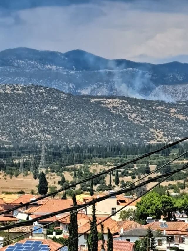 Φωτιά σε δάσος στο Καλό Πηγάδι Φωκίδας – Επιχείρηση με ελικόπτερα