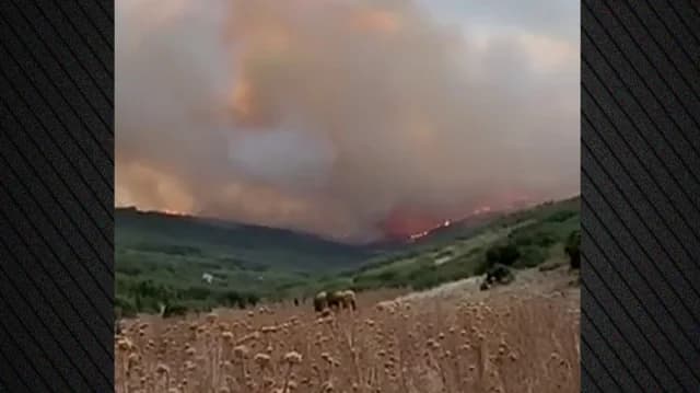 Larissa: Incendio en curso en Amygdalo Tyrnavou