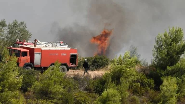 Tyrnavos: Bomberos luchan contra focos dispersos en Amygdalo