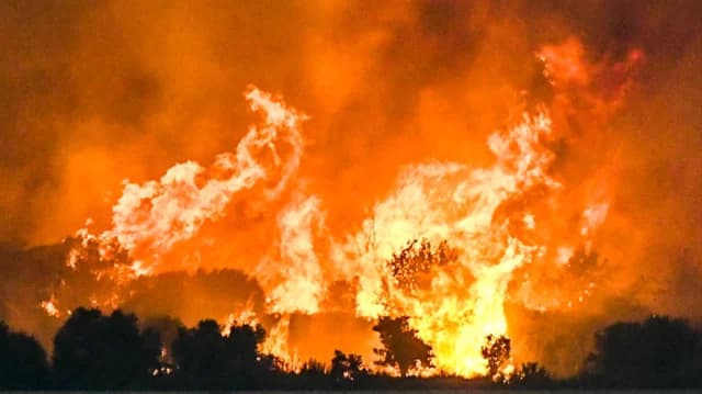 לגובארדוס: 454,000 דונם נשרפו ביוון, 9,000,000 באירופה