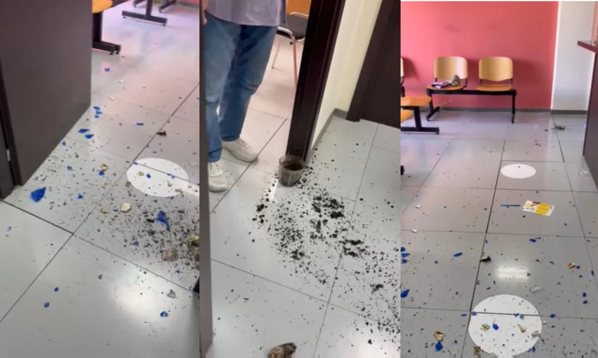 Tensión en los Servicios Sociales de Germasogeia: Ataque al personal y daños