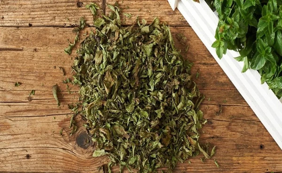 Spearmint Recalled in Cyprus Due to Celery Content