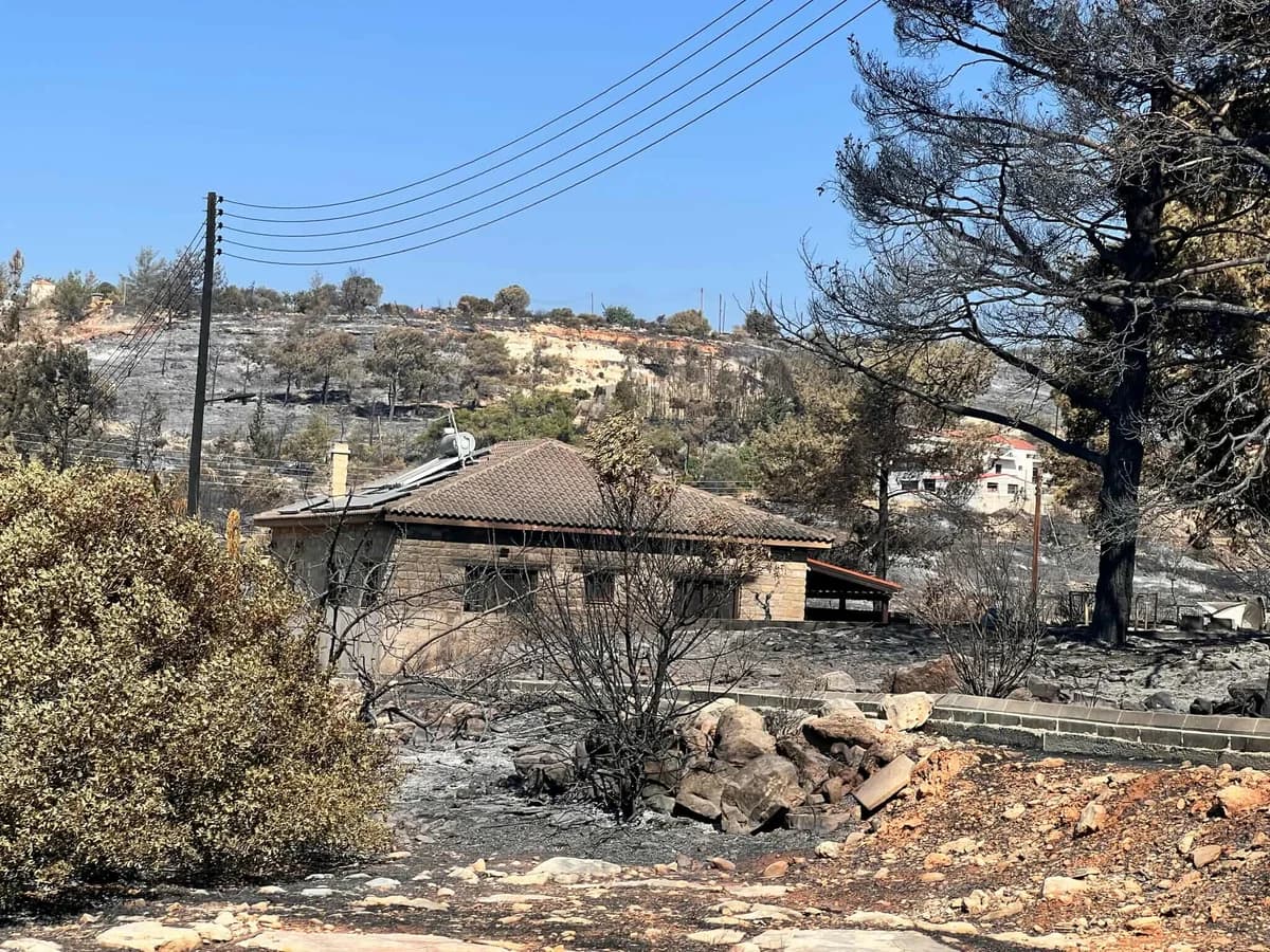 Christofinas: Erste Hilfsmaßnahmen für Brandopfer in Limassol abgeschlossen