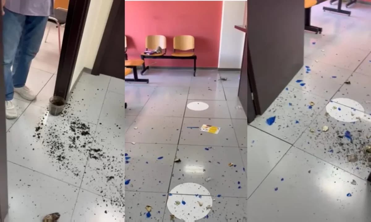 Liberado bajo condiciones hombre de 39 años tras vandalizar oficinas de Servicios Sociales