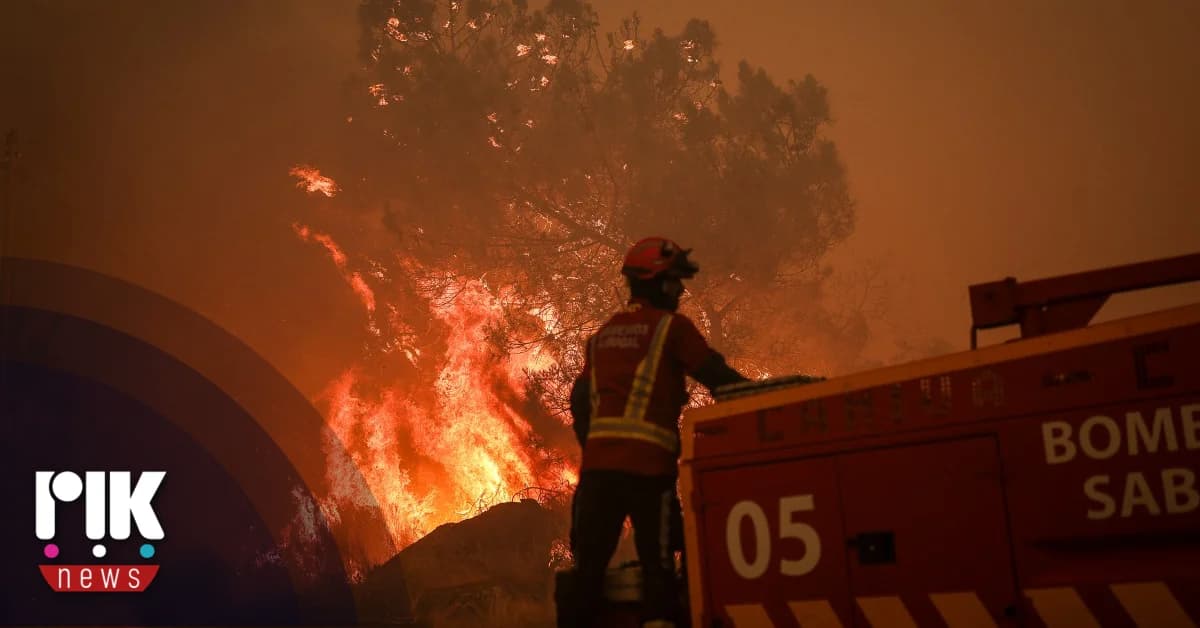 Portugal: Dritter Feuerwehrmann stirbt bei Waldbränden
