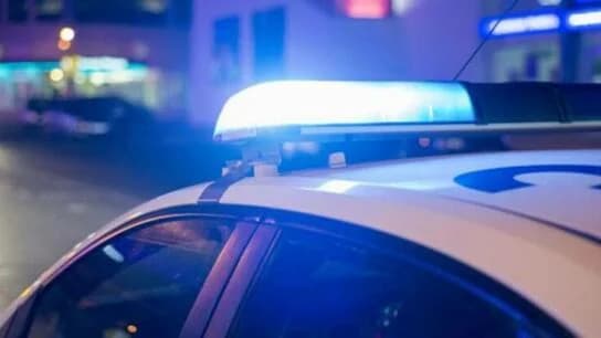 Греческая полиция: Десять арестов в ходе операции в Фили