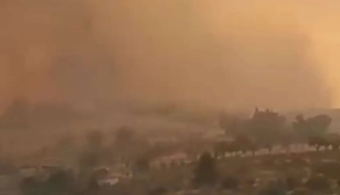 Limassol Fire: €80,000 for Restoration of TEPAK Farm in Lofou