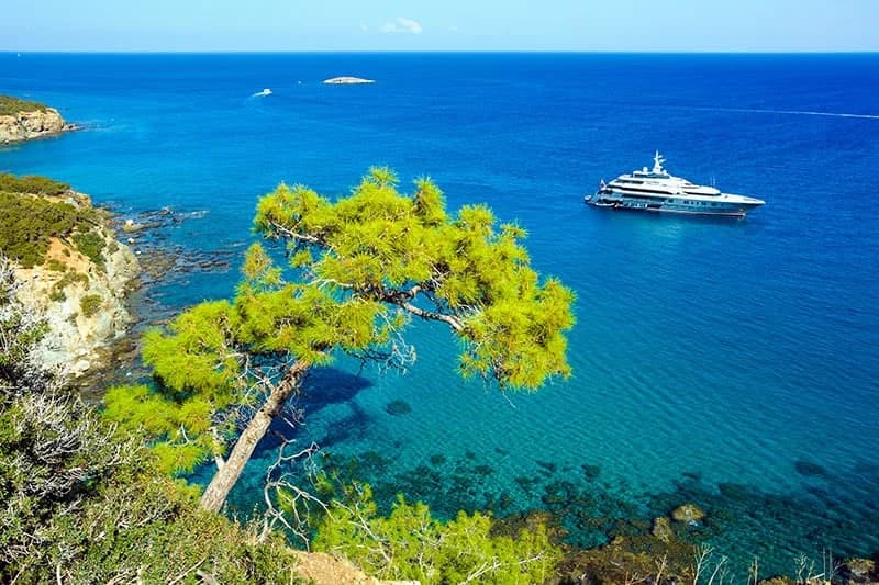 Environmental Groups Criticize Cyprus' Department of Forests Over Akamas Management