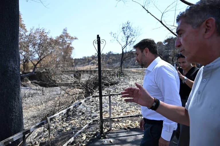 Androulakis critica la respuesta del gobierno a los incendios de Patras