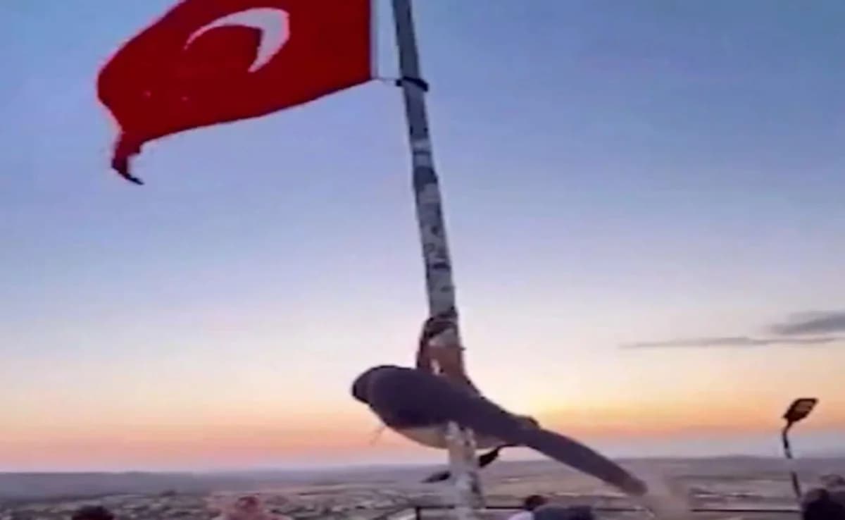 Türkei: Ermittlungen gegen Touristin nach Pole Dance an Flaggenmast