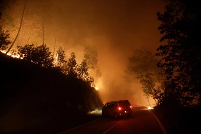 EU Wildfires: 10 Million Acres Burned in 7 Months