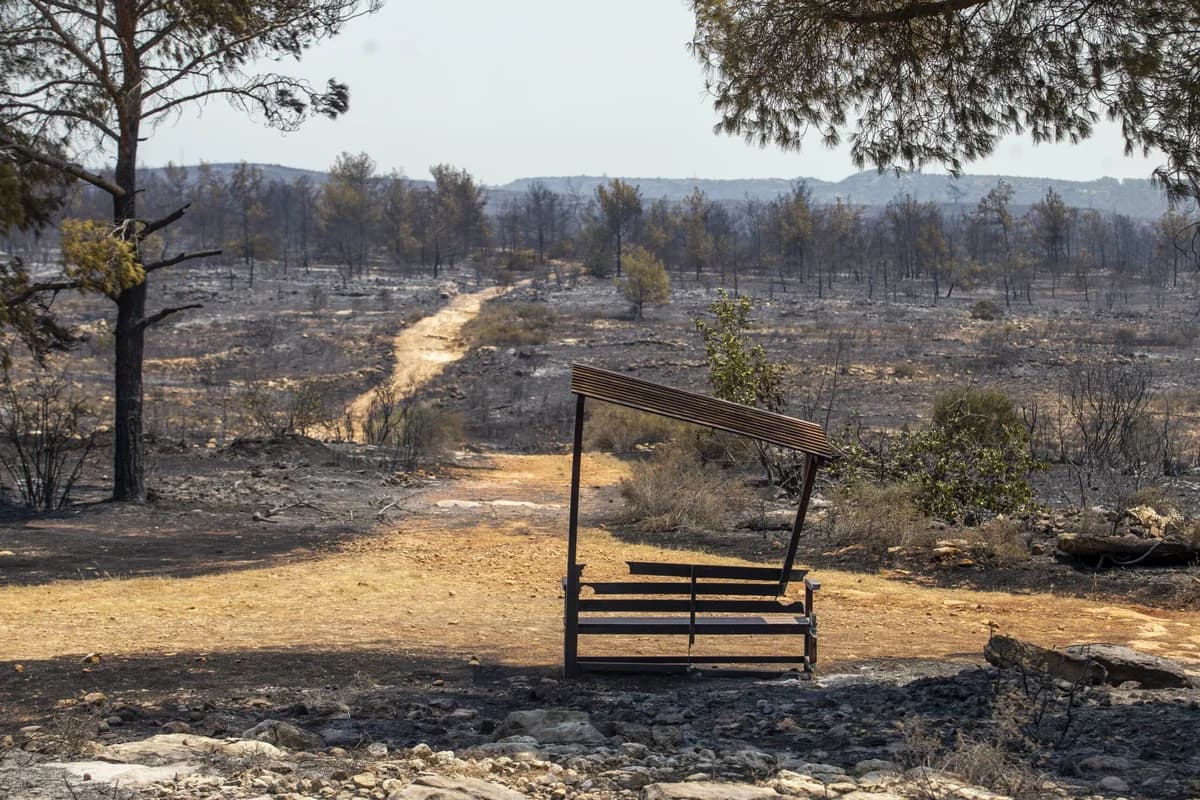 EU Wildfires Burn Over 1 Million Hectares in 2025 – Record for Cyprus