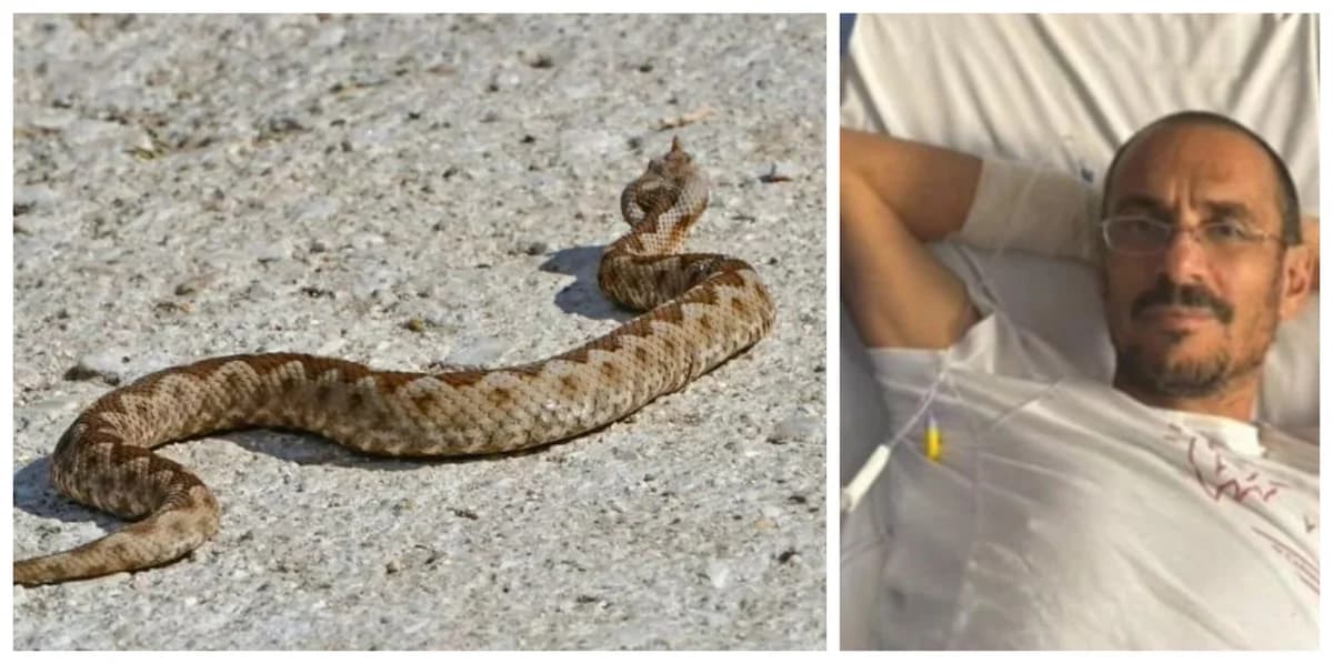 Limassol: Citizen Rescued After Snake Bite and Heatstroke