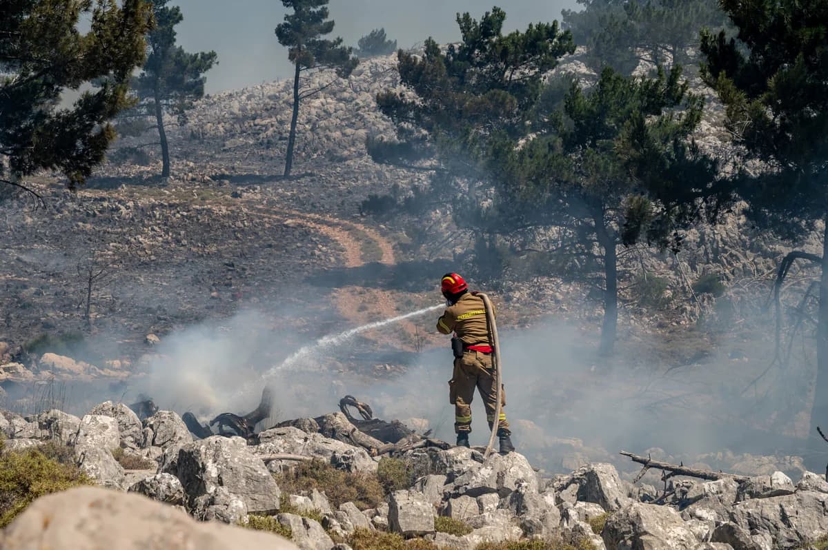 Europe: Wildfires Burn 1 Million Hectares, an Area Larger Than Cyprus