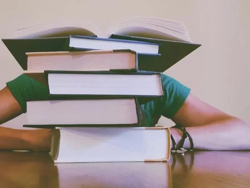 Dinamarca Considera Eliminar el IVA de los Libros para Fomentar la Lectura