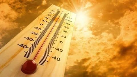 גל חום חוזר: הטמפרטורה 42 מעלות צלזיוס - אזהרה צהובה בתוקף