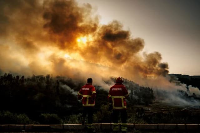 Portugal: Feuerwehrmann stirbt bei Waldbrandbekämpfung