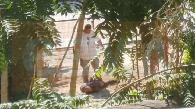 Volos: 40-Year-Old Arrested for Wife's Murder – Showed No Remorse