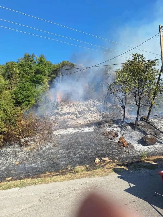Πυρκαγιά στο Ράγιο Φιλιατών Θεσπρωτίας – Ενεργοποίηση του 112