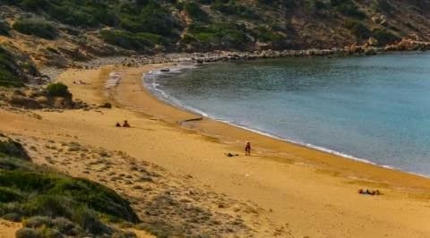 Akamas Mayor Rejects Claims of Turtle Nest Impact from Event Stage