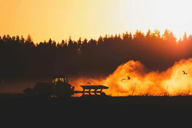 Klimakrise: Landwirte kämpfen mit Anpassung in Südeuropa