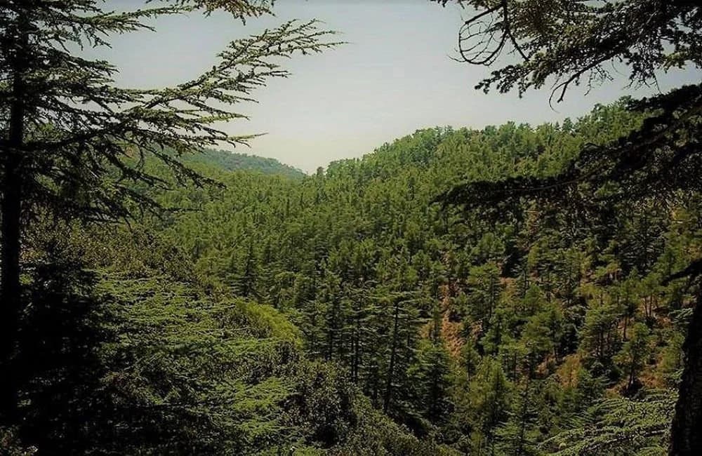Aumenta el interés por la protección contra incendios en las comunidades
