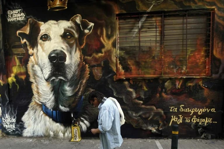 Loukanikos: El perro símbolo de las protestas en Grecia