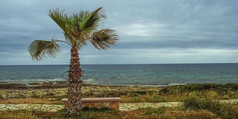 Понижение температуры и дожди в горах - Завтра 37°C