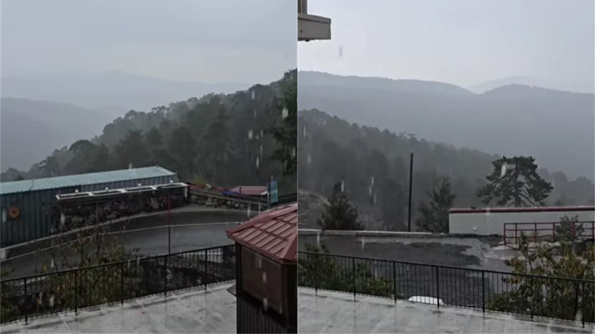 Lluvias de agosto en las montañas de Chipre – Videos