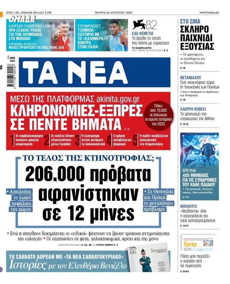 «TA NEA»: 206,000 כבשים נעלמו ב-12 חודשים