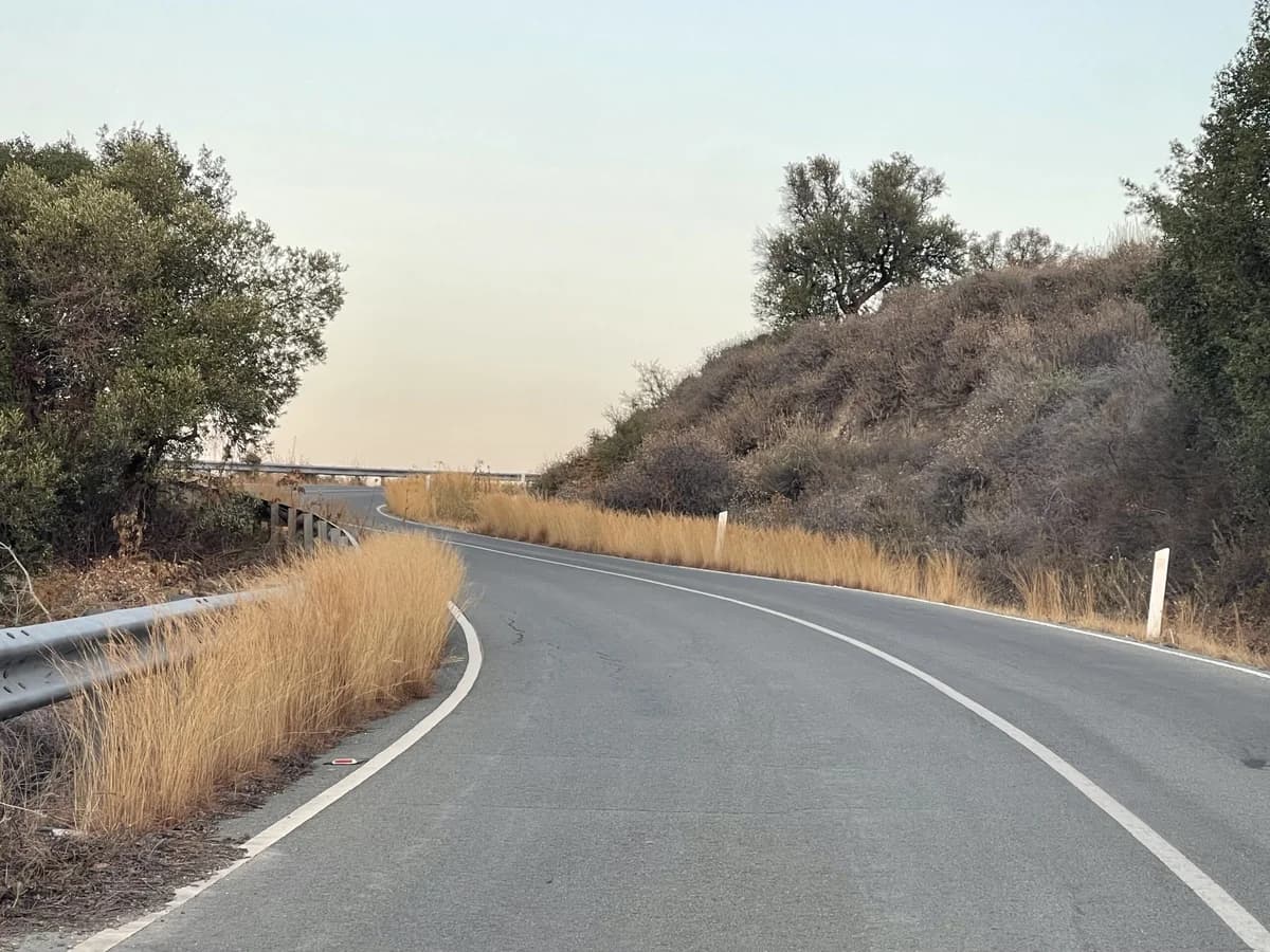 Increased Fire Risk Due to Dry Grass on Roadsides