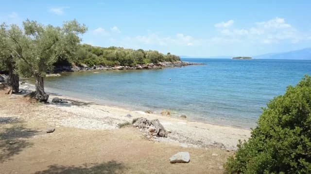 Πήλιο: Καβγάς για γυμνισμό σε παραλία – Τρεις συλλήψεις