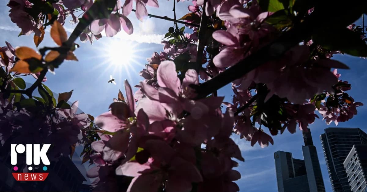 Wettervorhersage: Zunehmende Bewölkung und hohe Temperaturen