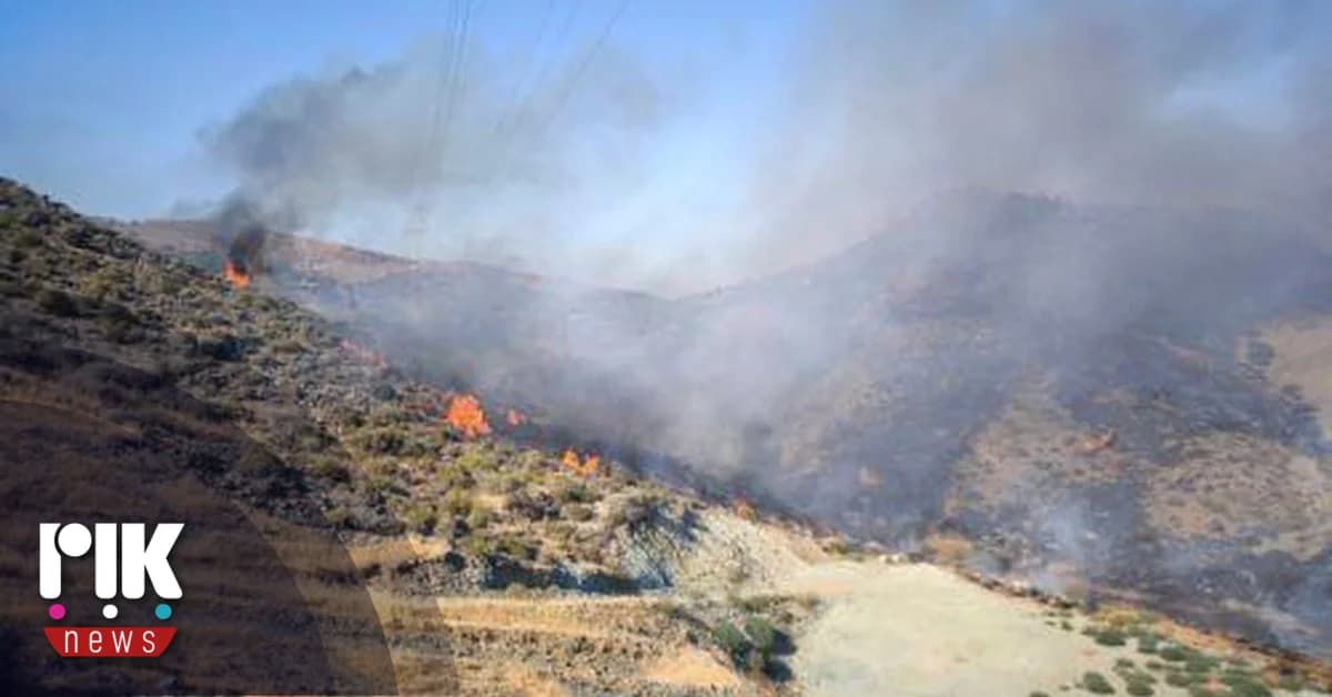 שריפה בלימסול: מומחים אמריקאים מאשימים בדל סיגריה