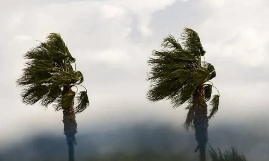 Starker Wind und Regen in den Bergen heute - Detaillierte Wettervorhersage