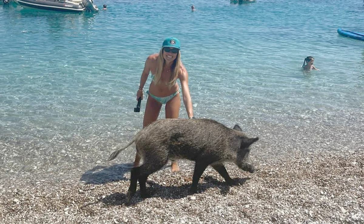 Marietta Chrousala: Swam with pigs in Atokos island